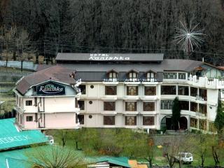 Crystal Manali (Himachal Pradesh)